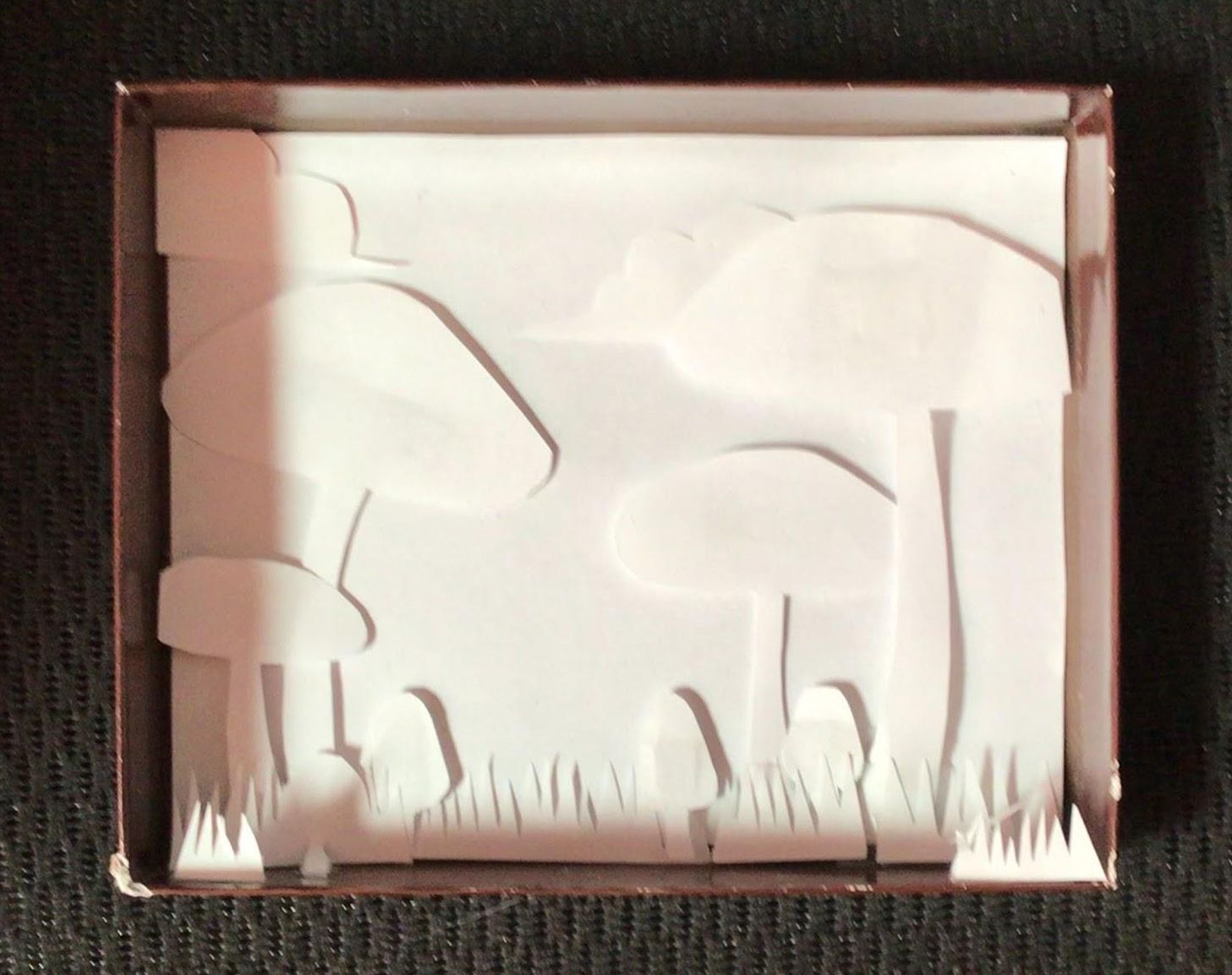 shadow box with mushrooms cut out of white paper and layered to create shadows and depth