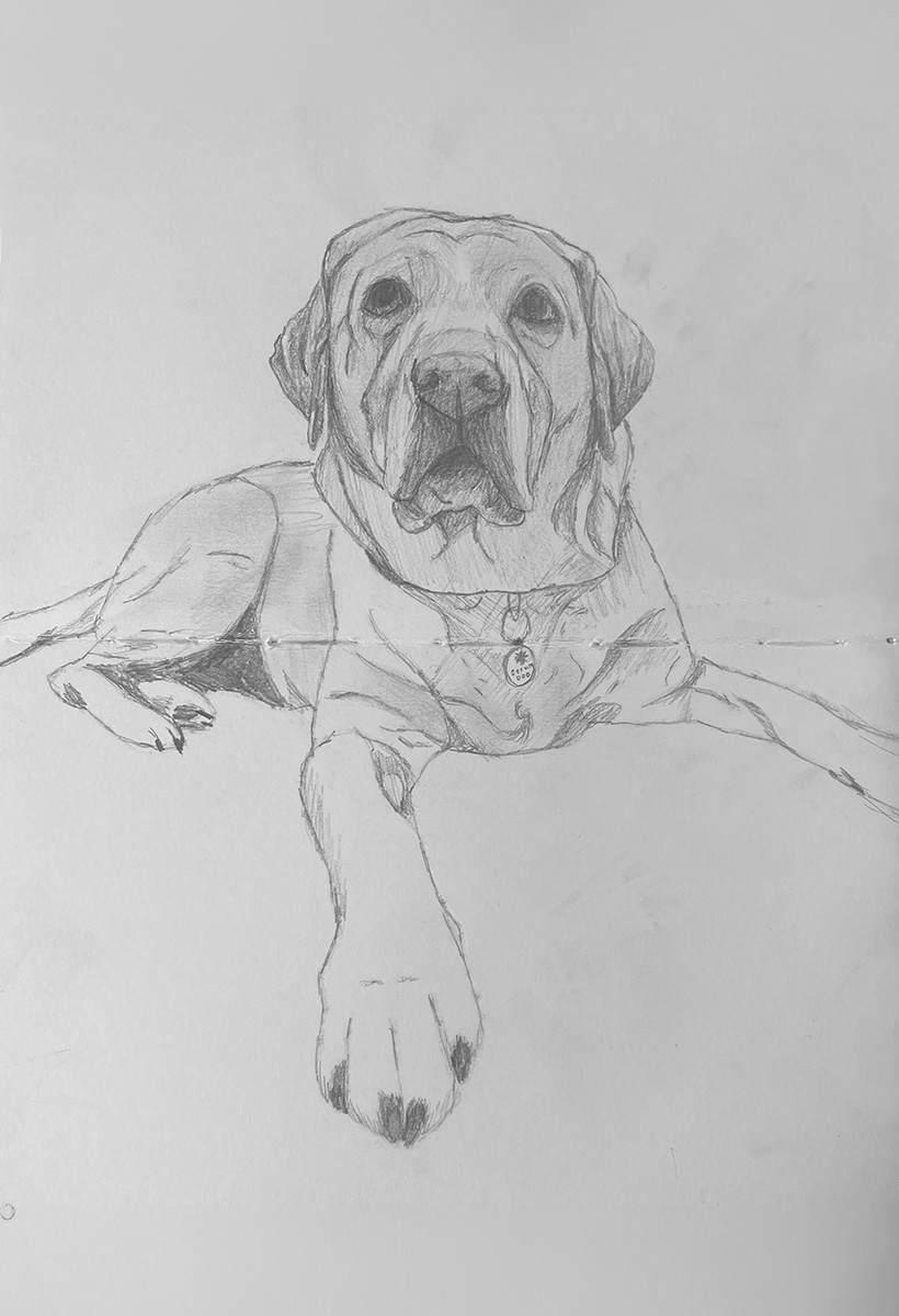 pencil drawing of danny